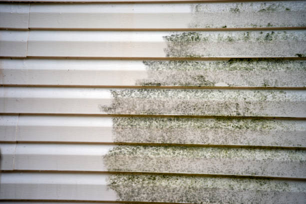 Best Construction Debris Removal  in Brentwood, NY